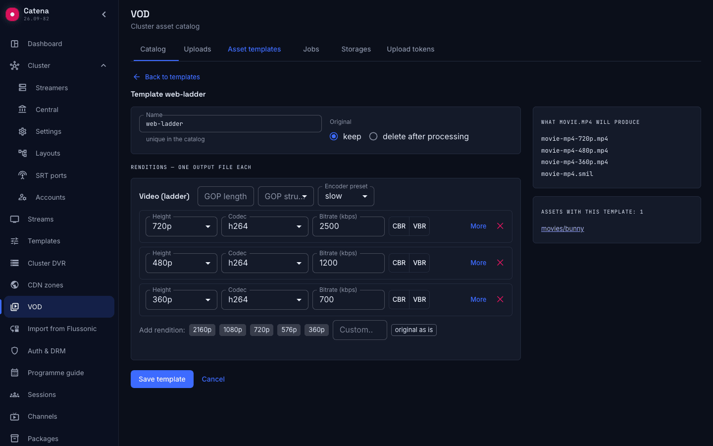 Modèle Catena avec plusieurs qualités et aperçu des fichiers de sortie ; interface anglaise