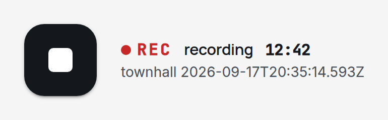 The button while a recording runs