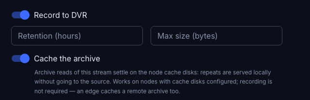 The DVR tab: two independent switches — recording and cache