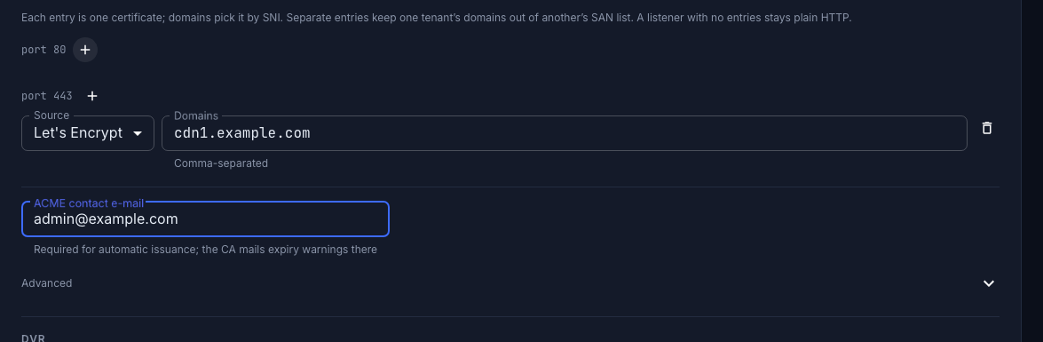 A Let's Encrypt entry with its domains and the ACME e-mail