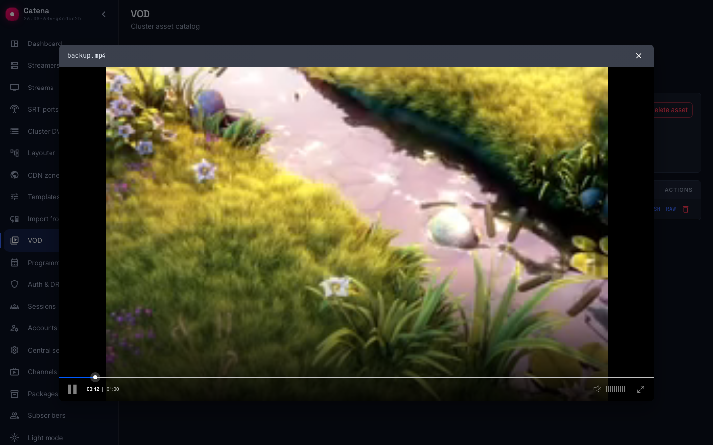 The file player over the asset card