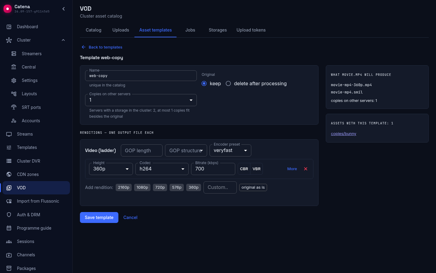 Template form: number of copies and the cluster hint