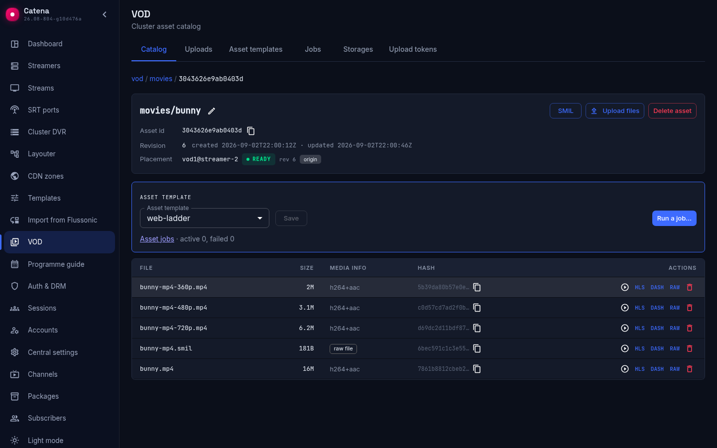 The asset card after processing: the outputs and the descriptor next to the original