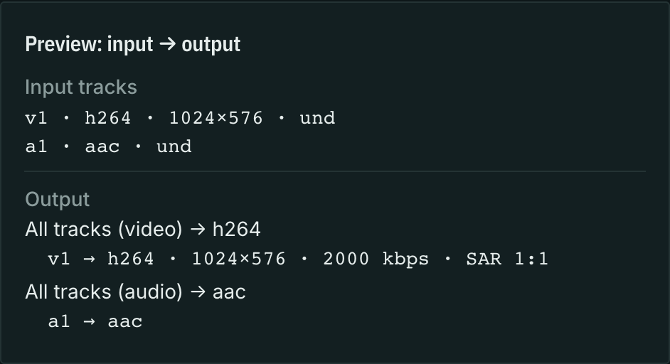 Preview of the input track and 1024×576 output