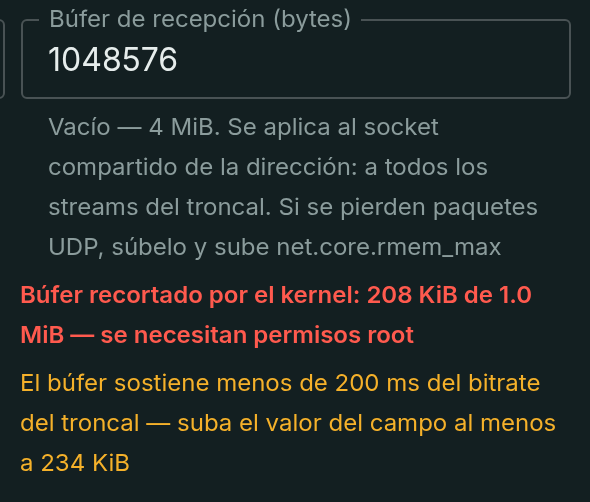 El margen queda por debajo de 200 ms del bitrate — el formulario indica hasta cuánto subir el búfer