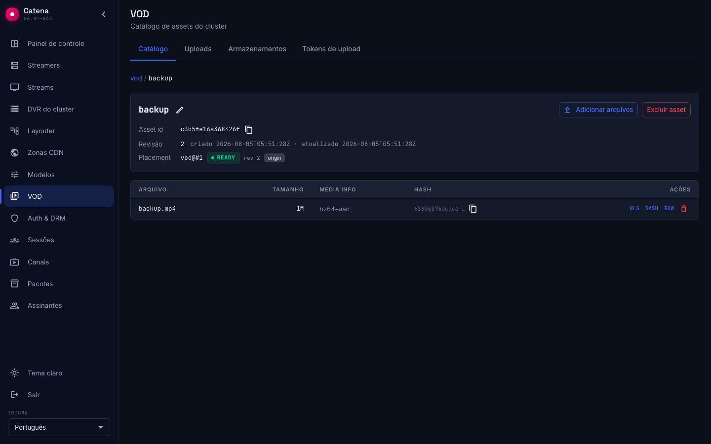 O cartão do asset: placement, revisão e arquivos com seus links de reprodução