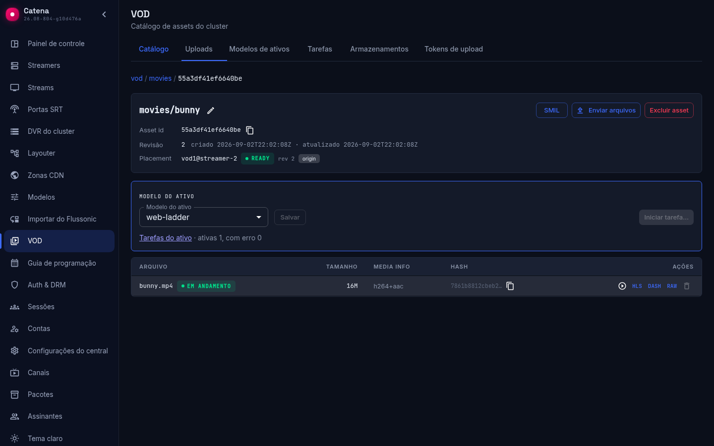 O cartão do asset durante o processamento: o original em processamento vem primeiro