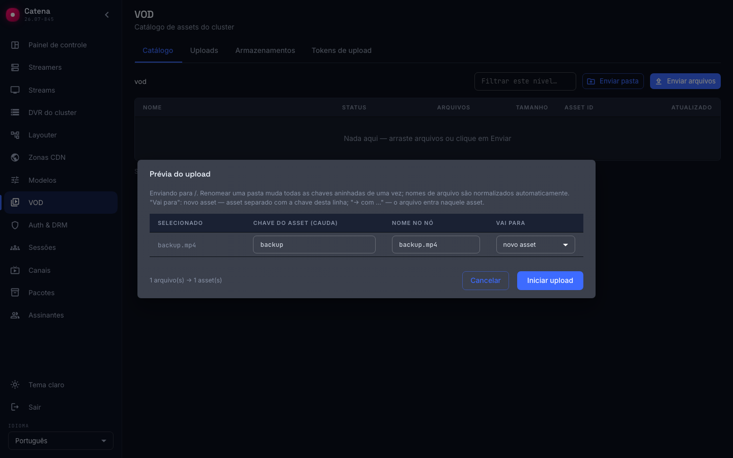 A prévia do upload: o que vai para o catálogo e sob qual chave