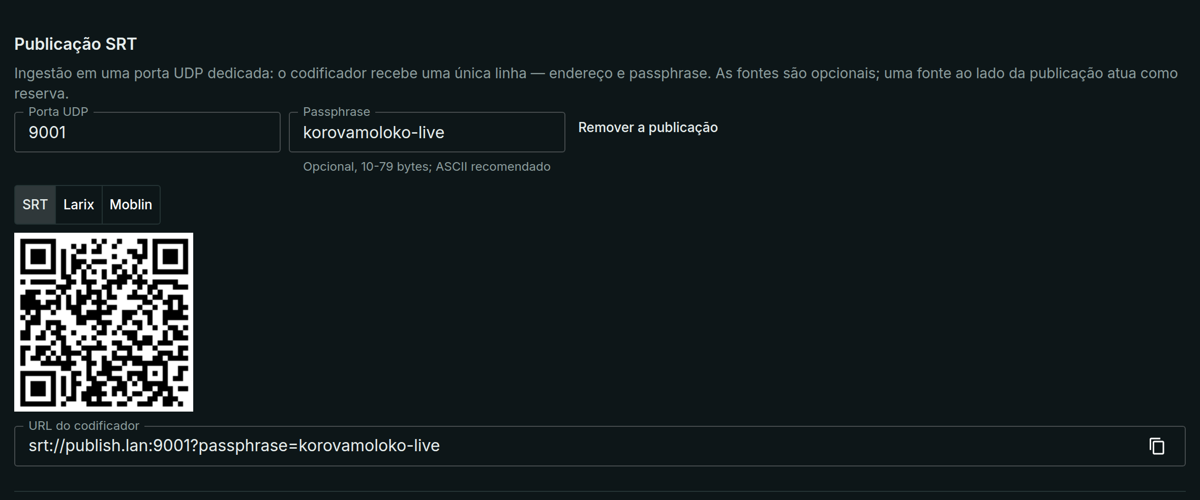 A seção de publicação SRT na ficha do stream
